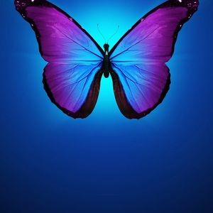 Meet your Posher, Judy